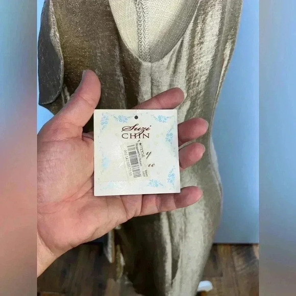 Suzy Chin for Maggy Boutique NWT Oyster Cocktail occasion Dress, zip back - Picture 6 of 9